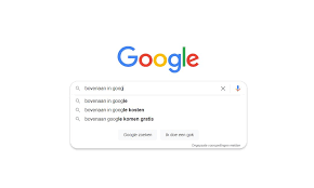 bovenaan komen in google