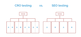 seo test