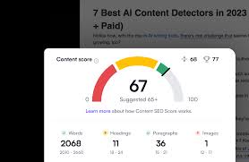 check seo score website