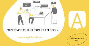 consultant référencement seo