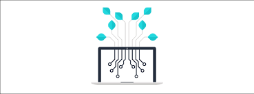 organische vindbaarheid
