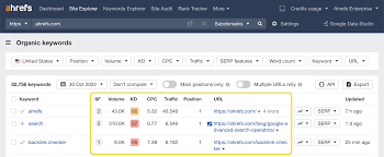 seo google ranking check