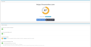 google website check seo