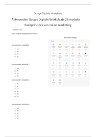 google digitale werkplaats basisprincipes online marketing